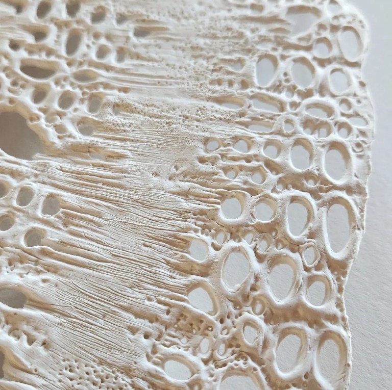 3CE99BCA F9C4 490F 9FA3 46B124AA1F50 768x765