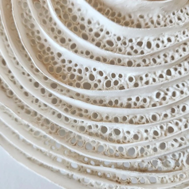 3E8C50F5 7C7F 428C 8086 E049A39D9CA3 768x768