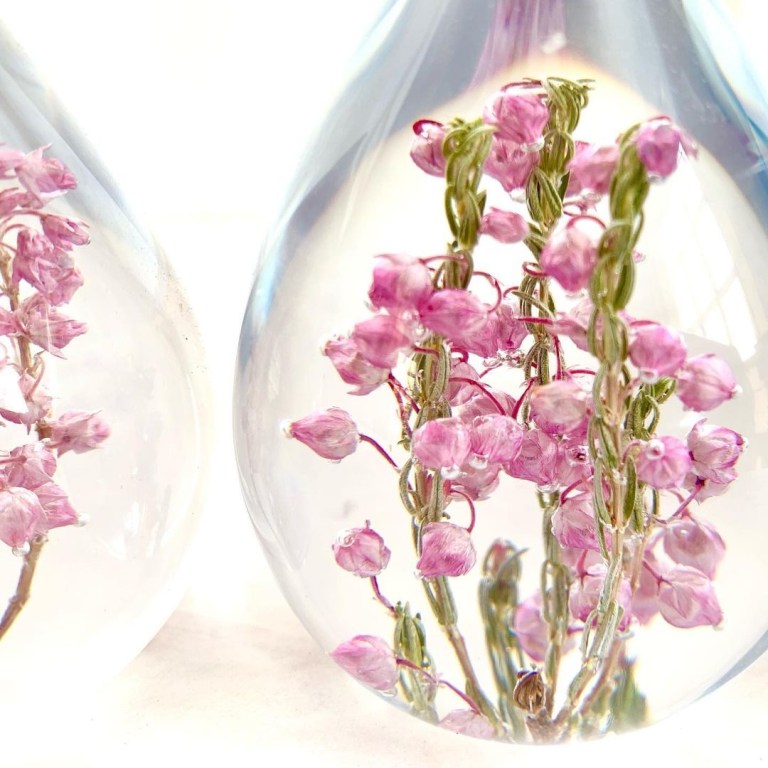 AF52A2D5 448A 424C B70F 2CC0CE78493E 768x768