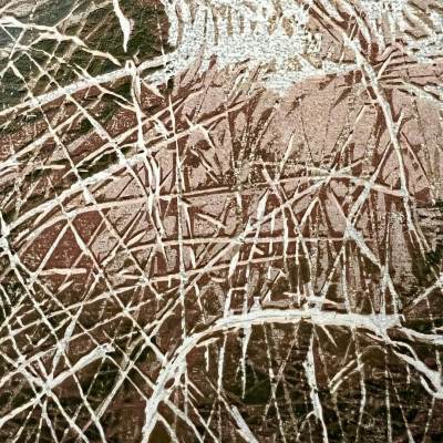 4492021f a0b0 4e7c b170 161148fc516b 400x400